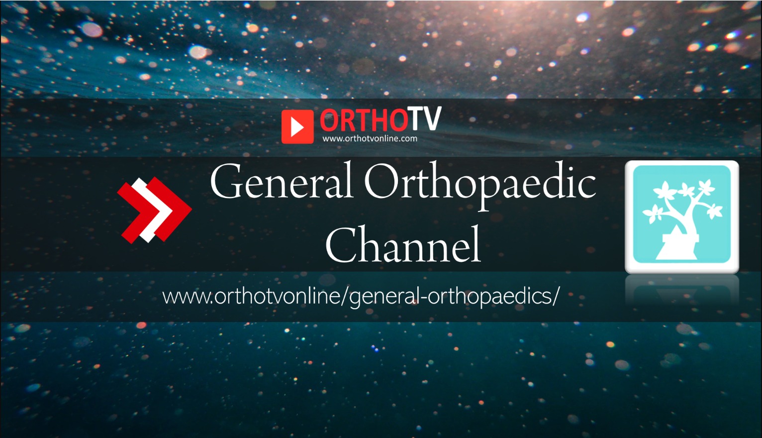 general orthopaedic channel