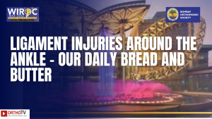 WIROC MAX 2022 - LIGAMENT INJURIES AROUND THE ANKLE - OUR DAILY BREAD AND BUTTER